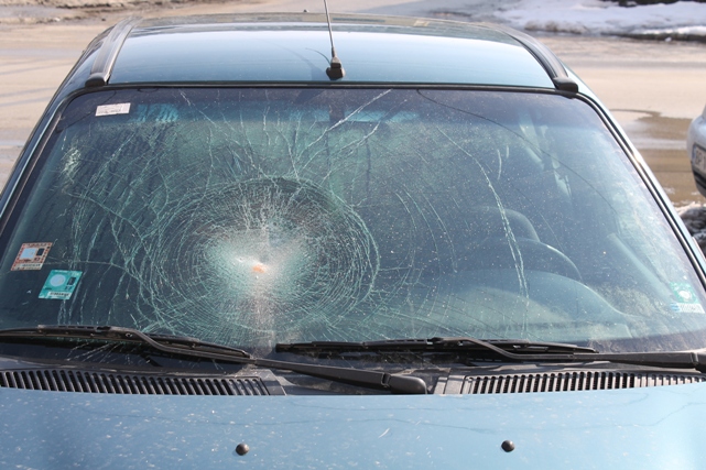 &copy; Copyright 2014 &mdash; Gabrovo News. All Rights Reserved