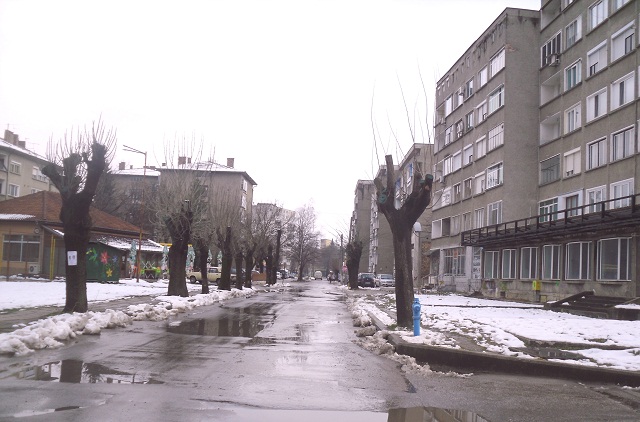 снимка: Община Севлиево