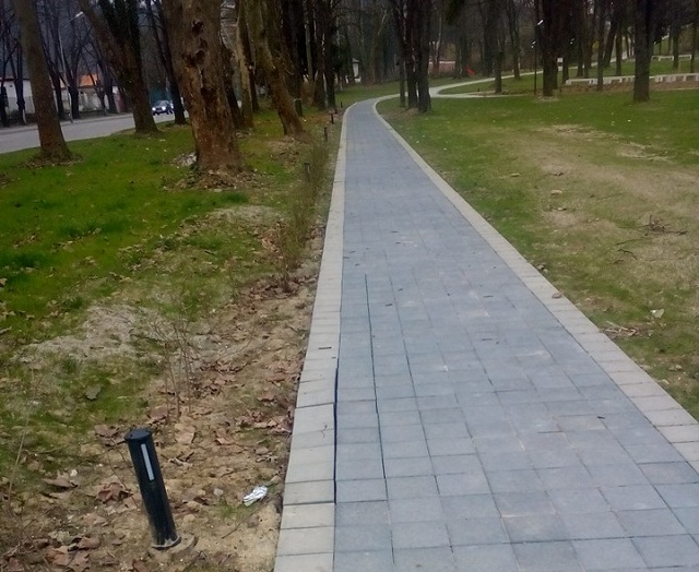 снимка: Дарина Борисова, фейсбук